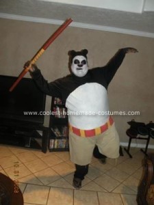 kung-fu-panda-costumes